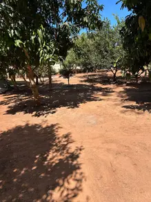 Imagem 3 - Chácara em Rural, Indiara - GO