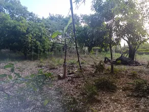 Imagem 6 - Casa em Mansões Paraíso, Aparecida de Goiânia - GO