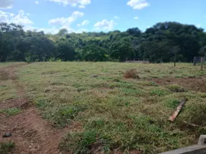 Imagem 3 - Chácara em Centro, Santa Rosa de Goiás - GO