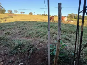 Imagem 5 - Chácara em Centro, Santa Rosa de Goiás - GO