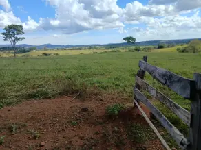 Imagem 4 - Chácara em Centro, Santa Rosa de Goiás - GO