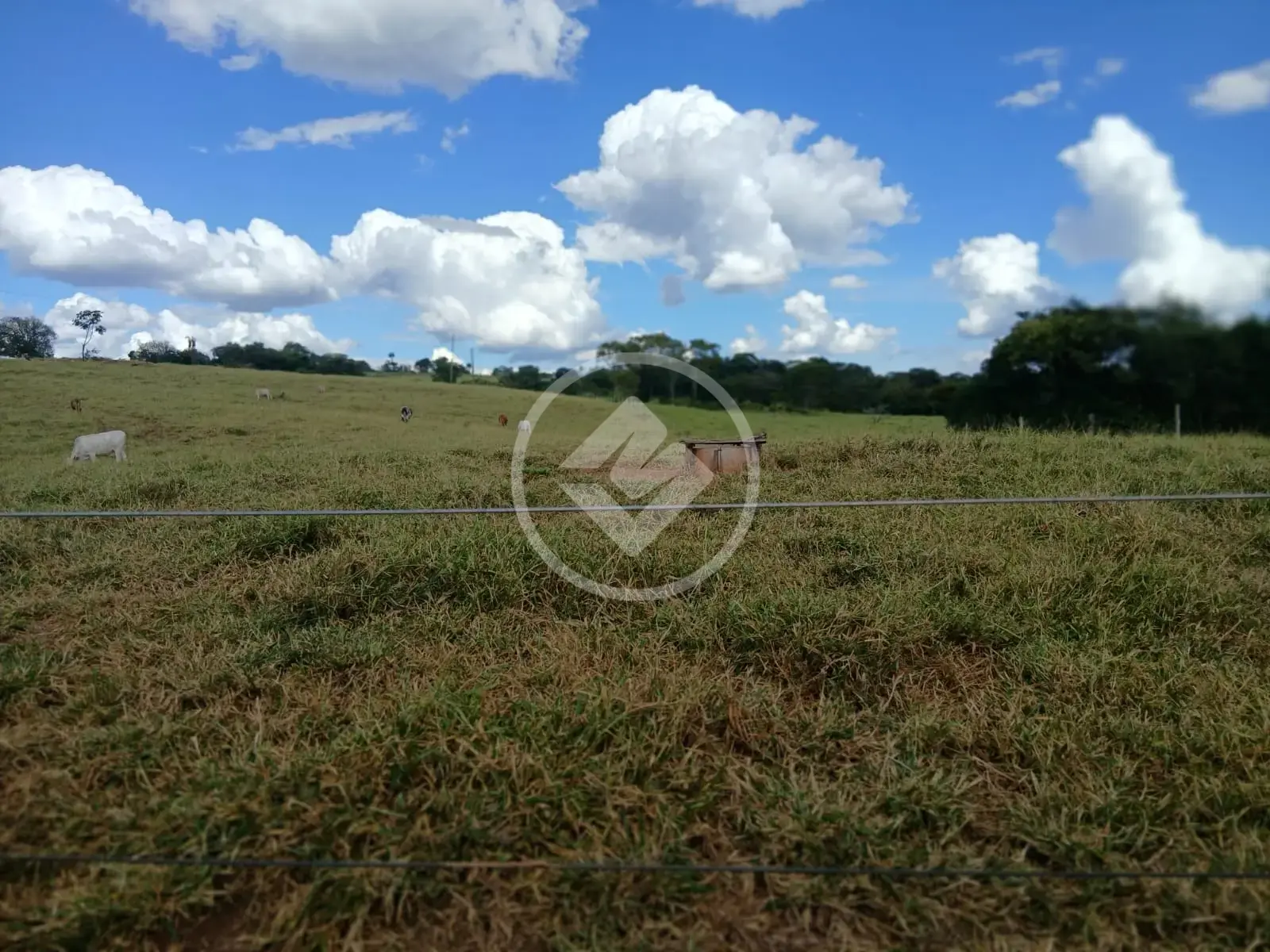 Image 10 - Chácara em Centro, Santa Rosa de Goiás - GO