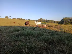 Chácara Centro, Santa Rosa de Goiás - GO — foto 2