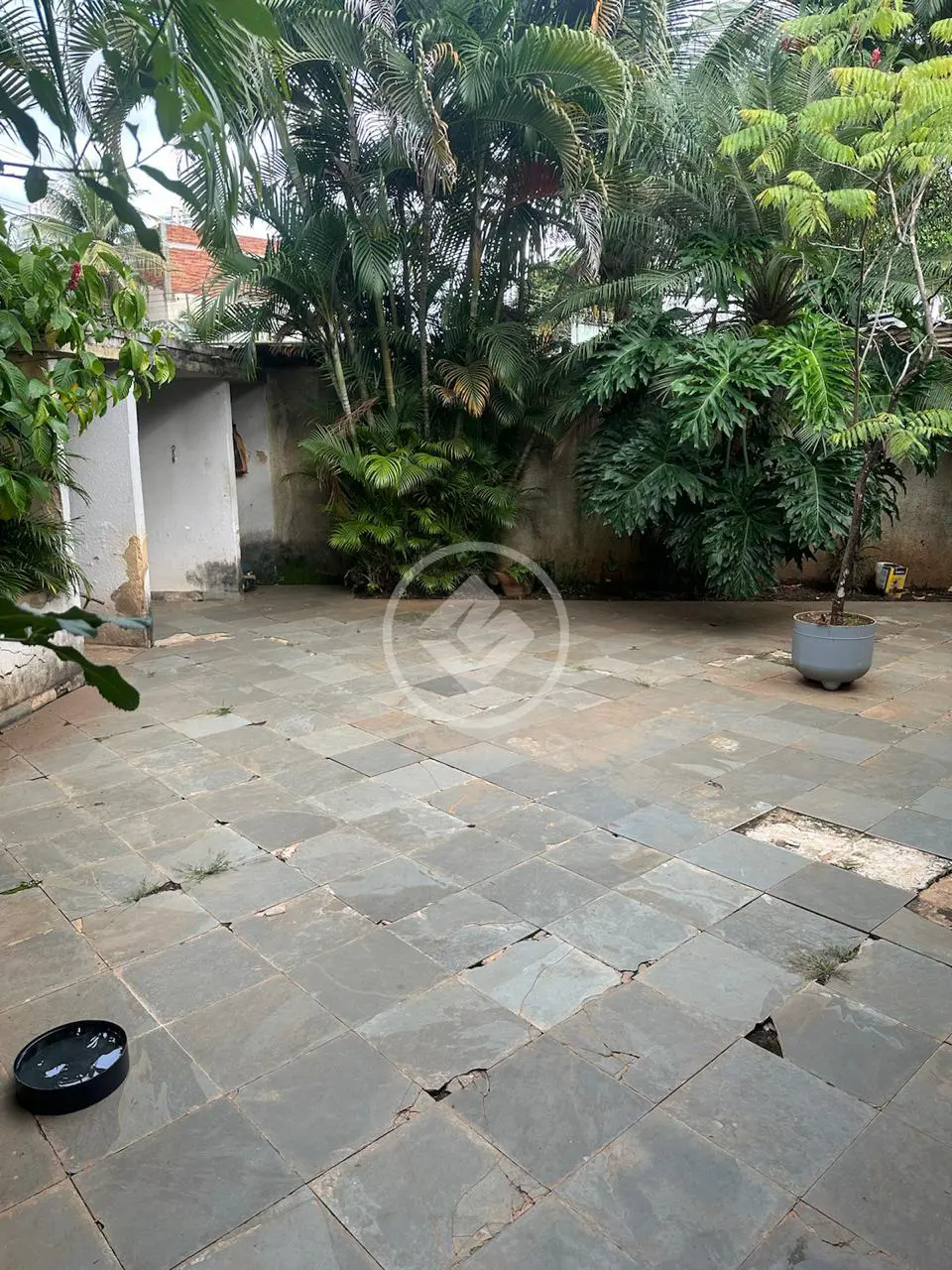 Imagem 4 - Casa em Jardim América, Goiânia - GO