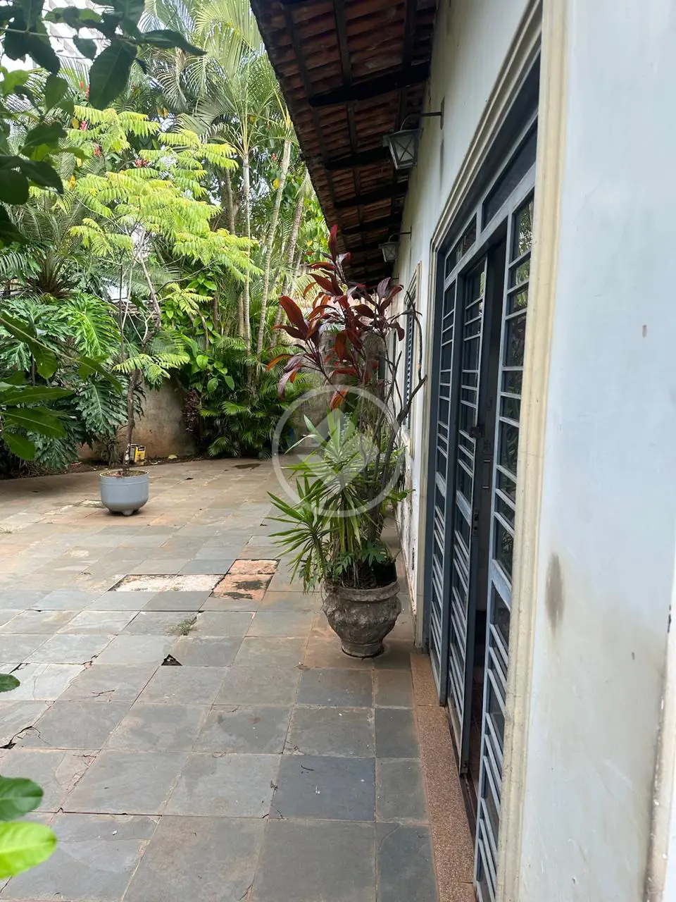 Imagem 6 - Casa em Jardim América, Goiânia - GO