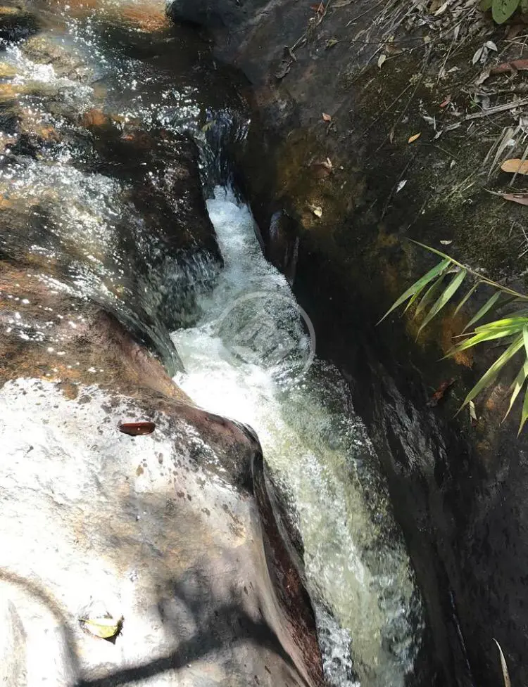 Imagem 5 - Chácara em GERAL, Antônio Dias - MG