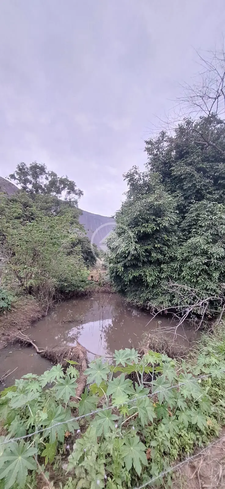 Imagem 2 - Terreno em Petropolis, Timóteo - MG