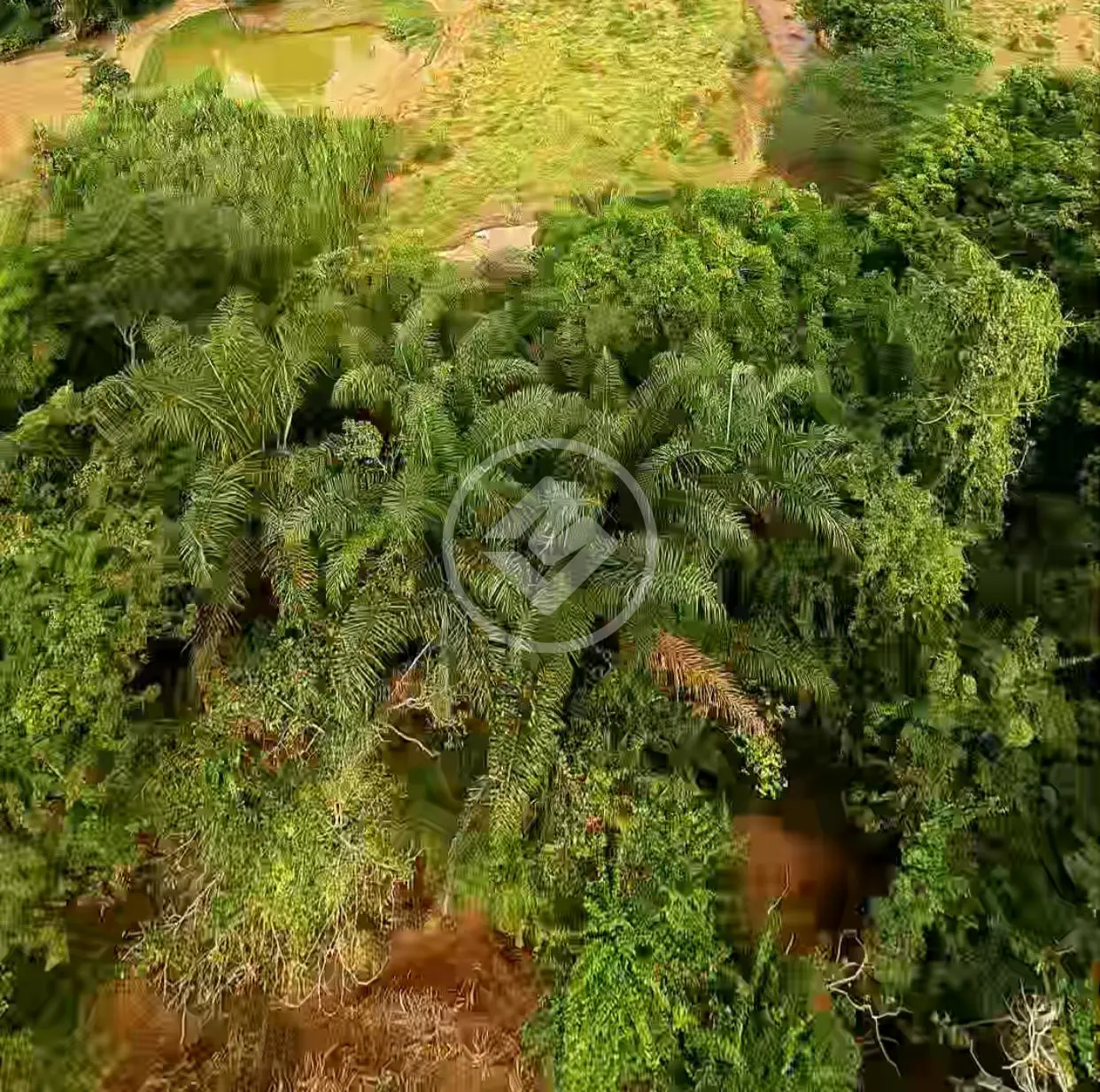 Imagem 3 - Chácara em RURAL, Marliéria - MG