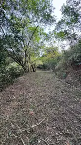 Terreno Veneza, Ipatinga - MG — foto 1