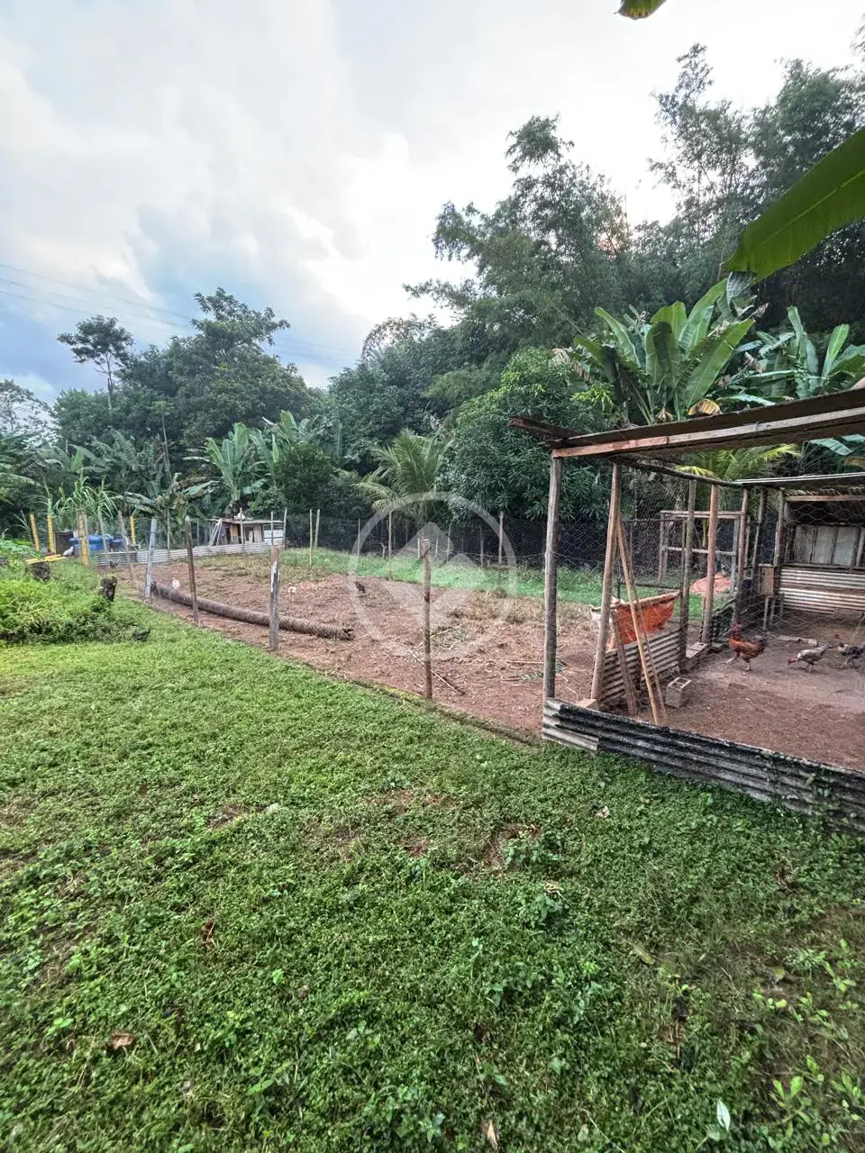 Imagem 3 - Casa em Pedra Branca, Ipatinga - MG