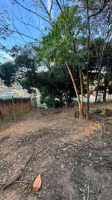 Imagem 3 - Terreno em Canaã, Ipatinga - MG