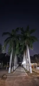 Imagem 3 - Chácara em Chacarás Paraíso, Santana do Paraíso - MG