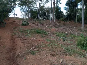 Terreno Condomínio Condominio Contos da Mata, Iapu - MG — foto 2