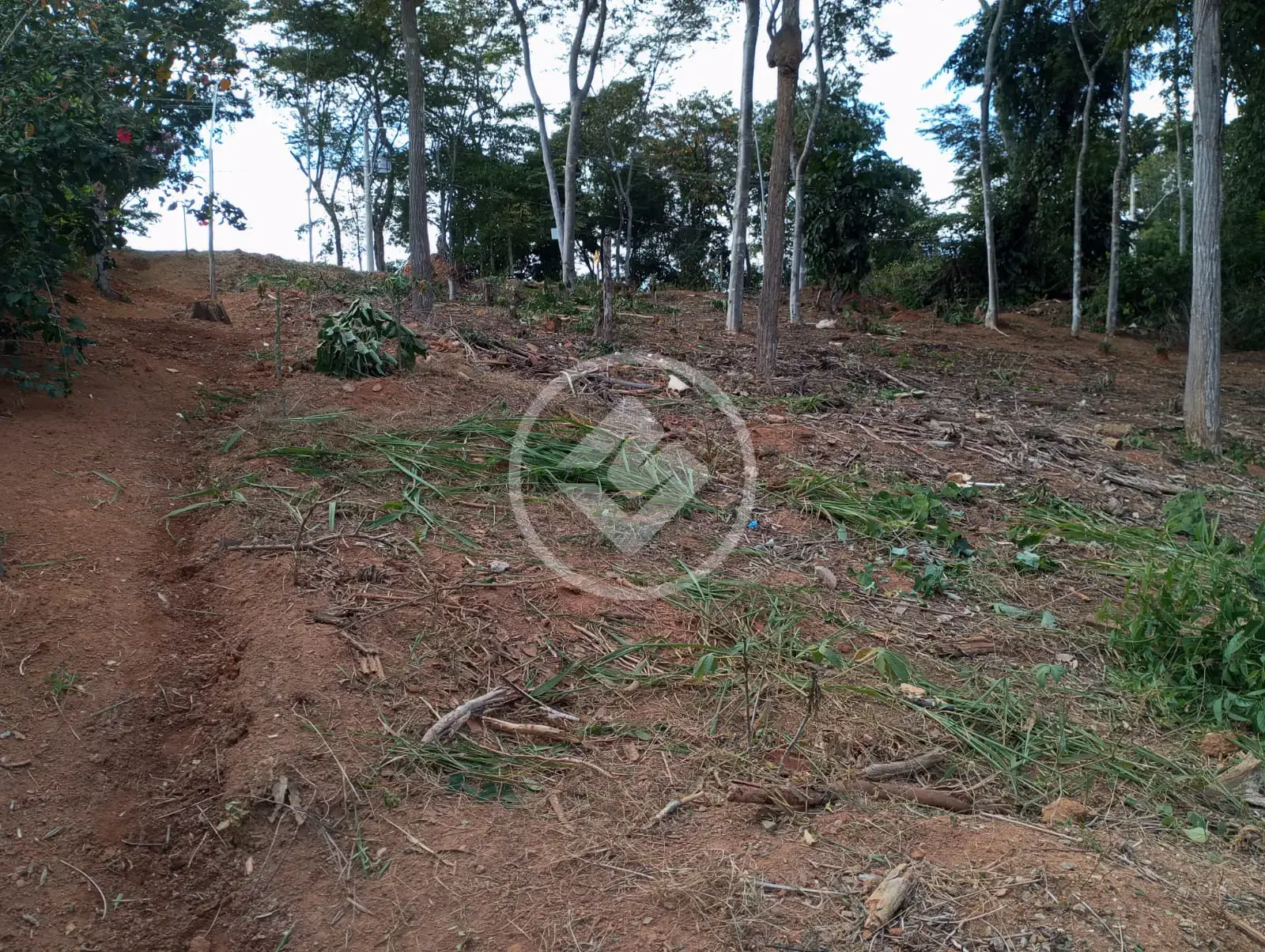 Image 2 - Terreno Condomínio em Condominio Contos da Mata, Iapu - MG