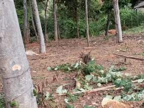 Imagem 2 - Terreno Condomínio em Condominio Contos da Mata, Iapu - MG