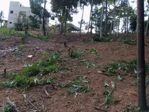 Terreno Condomínio Condominio Contos da Mata, Iapu - MG — foto 1