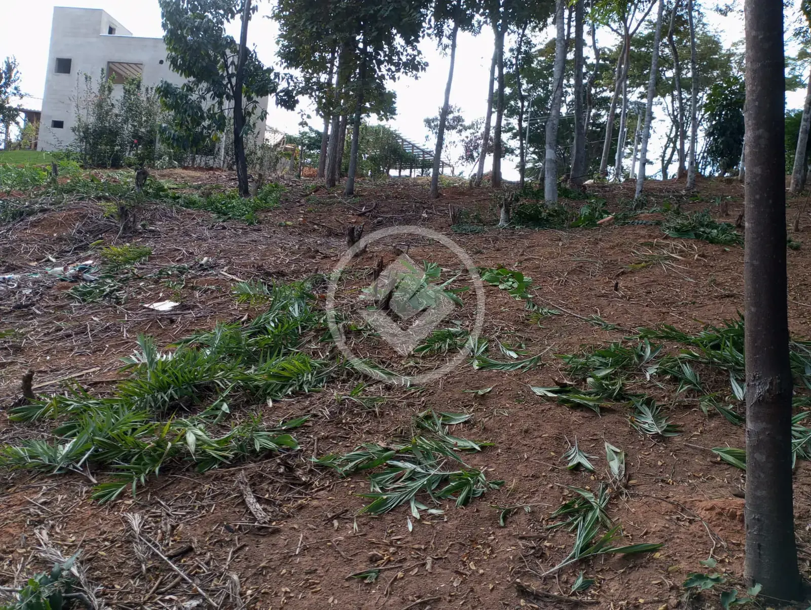 Imagem 1 - Terreno Condomínio em Condominio Contos da Mata, Iapu - MG