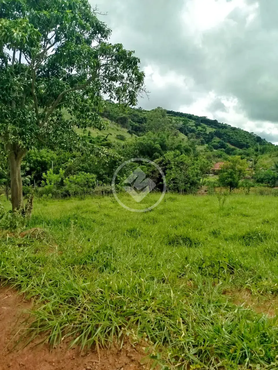 Image 2 - Terreno em Geral, Ipaba - MG