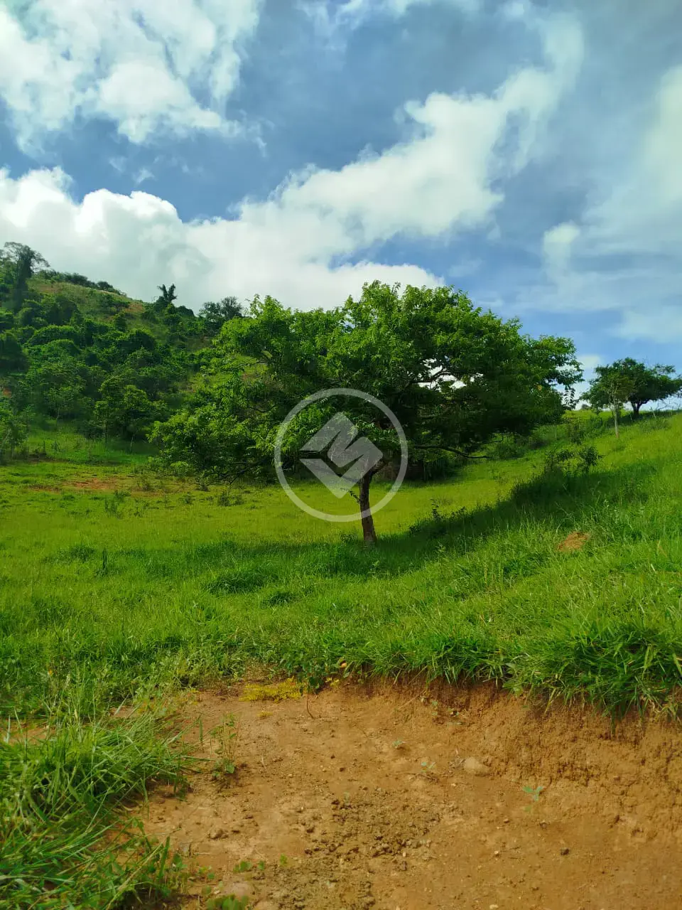 Imagem 1 - Terreno em Geral, Ipaba - MG