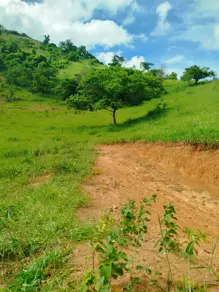 Imagem 2 - Terreno em Geral, Ipaba - MG