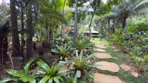 Imagem 4 - Chácara em Chácaras Oliveira, Ipatinga - MG