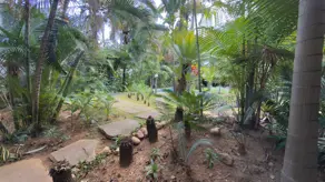 Imagem 2 - Chácara em Chácaras Oliveira, Ipatinga - MG