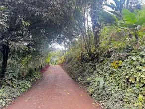 Imagem 2 - Chácara em Área Rural de Ipatinga, Ipatinga - MG