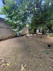 Imagem 2 - Terreno Comercial em Bom Jardim, Ipatinga - MG
