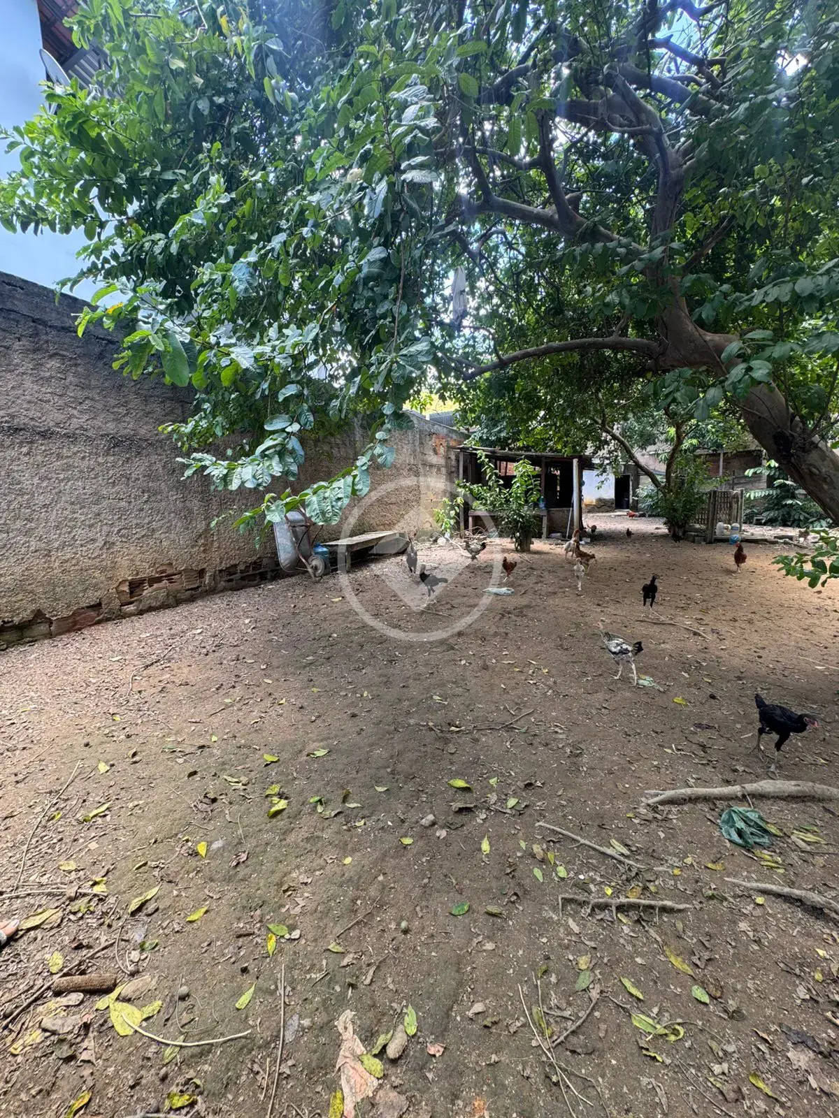 Imagem 2 - Terreno Comercial em Bom Jardim, Ipatinga - MG