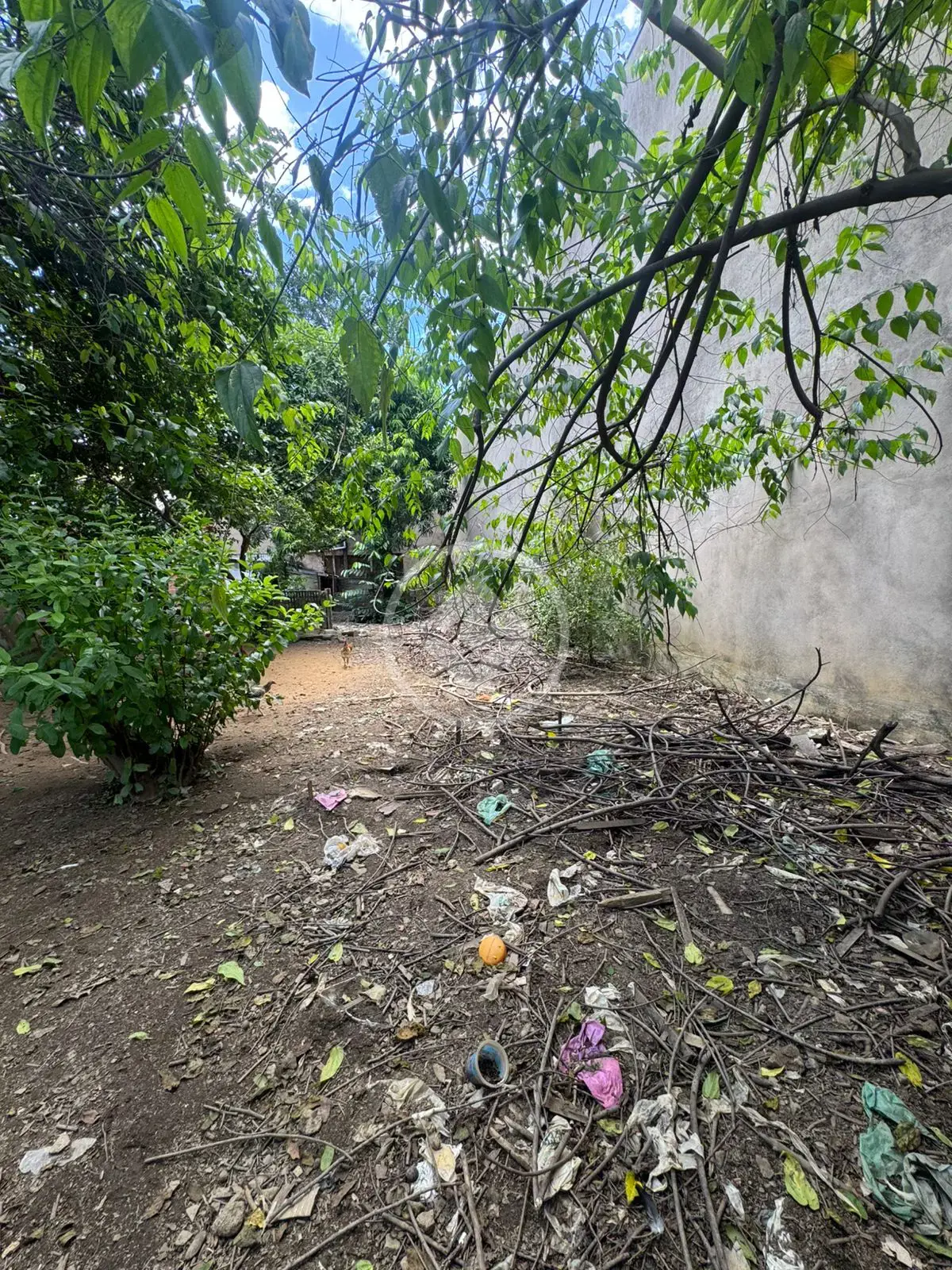 Imagem 3 - Terreno Comercial em Bom Jardim, Ipatinga - MG