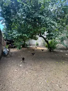 Imagem 4 - Terreno Comercial em Bom Jardim, Ipatinga - MG