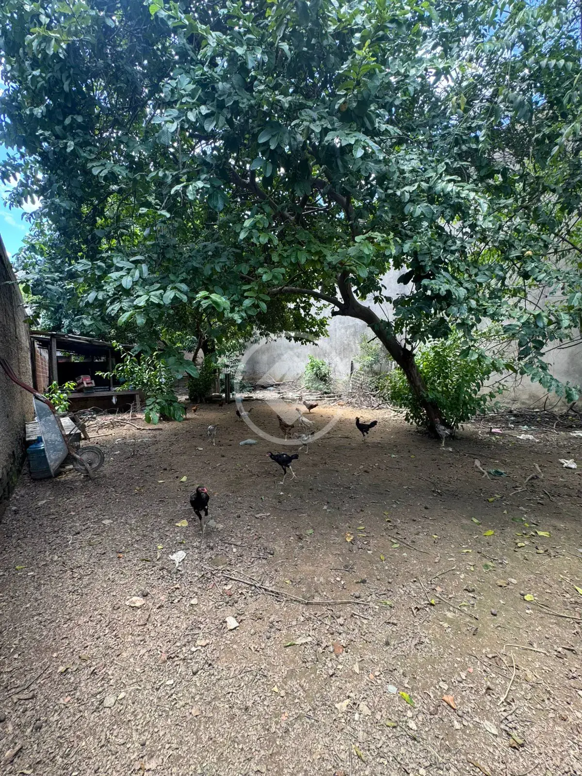 Imagem 4 - Terreno Comercial em Bom Jardim, Ipatinga - MG