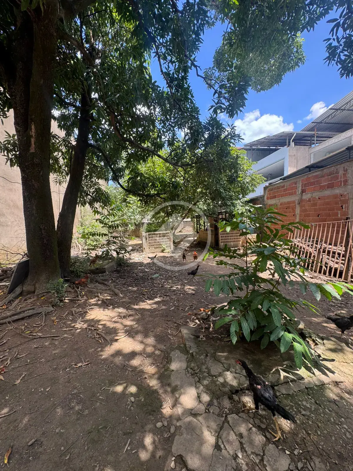 Imagem 6 - Terreno Comercial em Bom Jardim, Ipatinga - MG