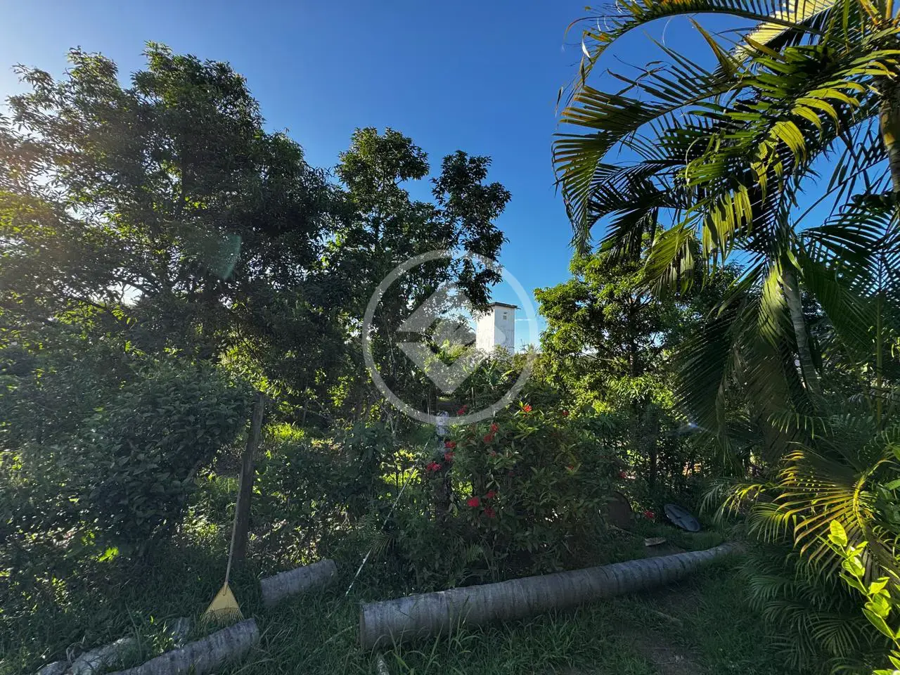 Imagem 1 - Chácara em Residencial Porto Seguro, Caratinga - MG