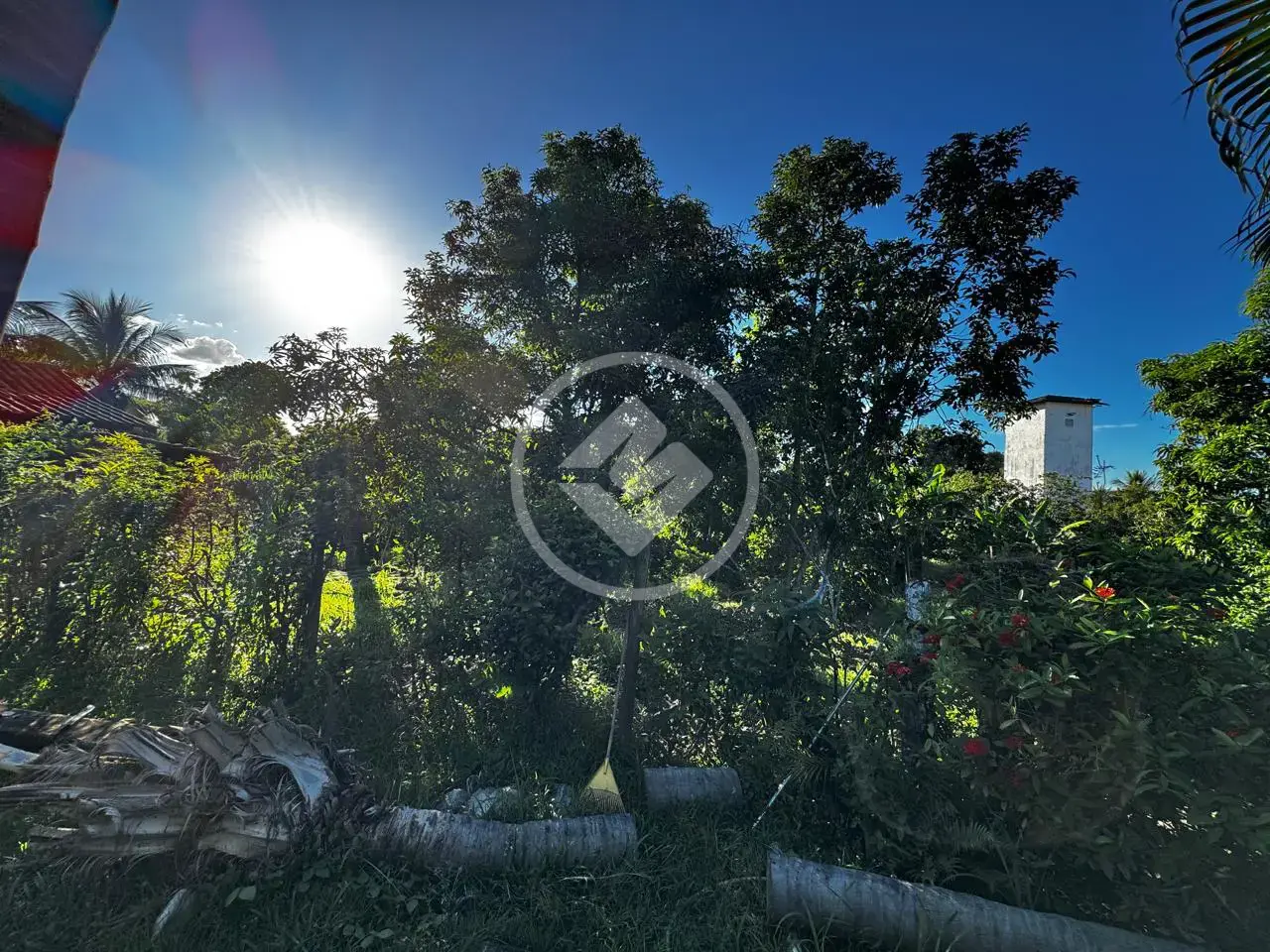 Image 2 - Chácara em Residencial Porto Seguro, Caratinga - MG