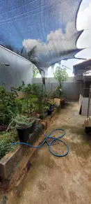 Imagem 2 - Casa em Cidade Nova, Santana do Paraíso - MG