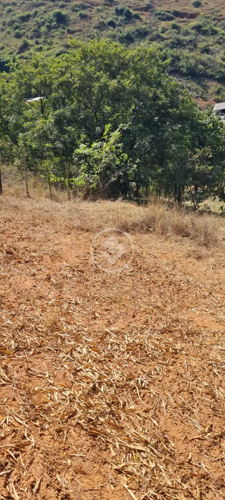 Imagem 1 - Terreno em PARQUE CARAVELAS, Santana do Paraíso - MG