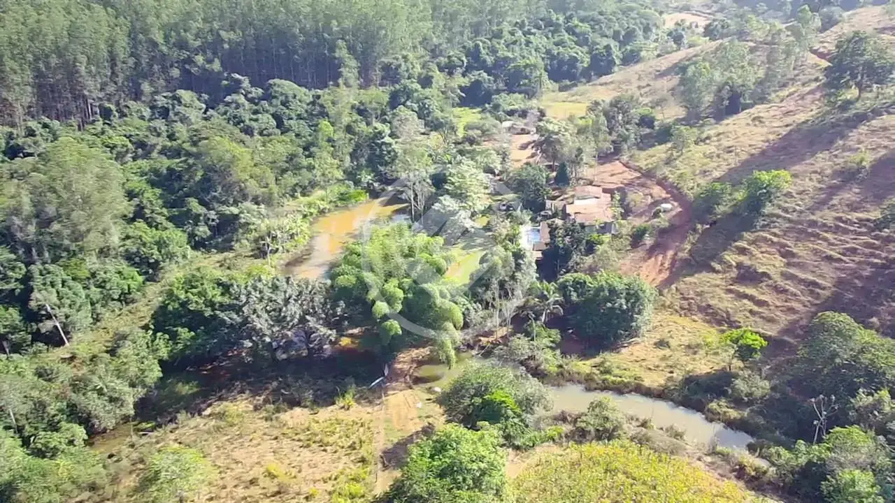 Image 17 - Fazenda em Centro, Belo Oriente - MG
