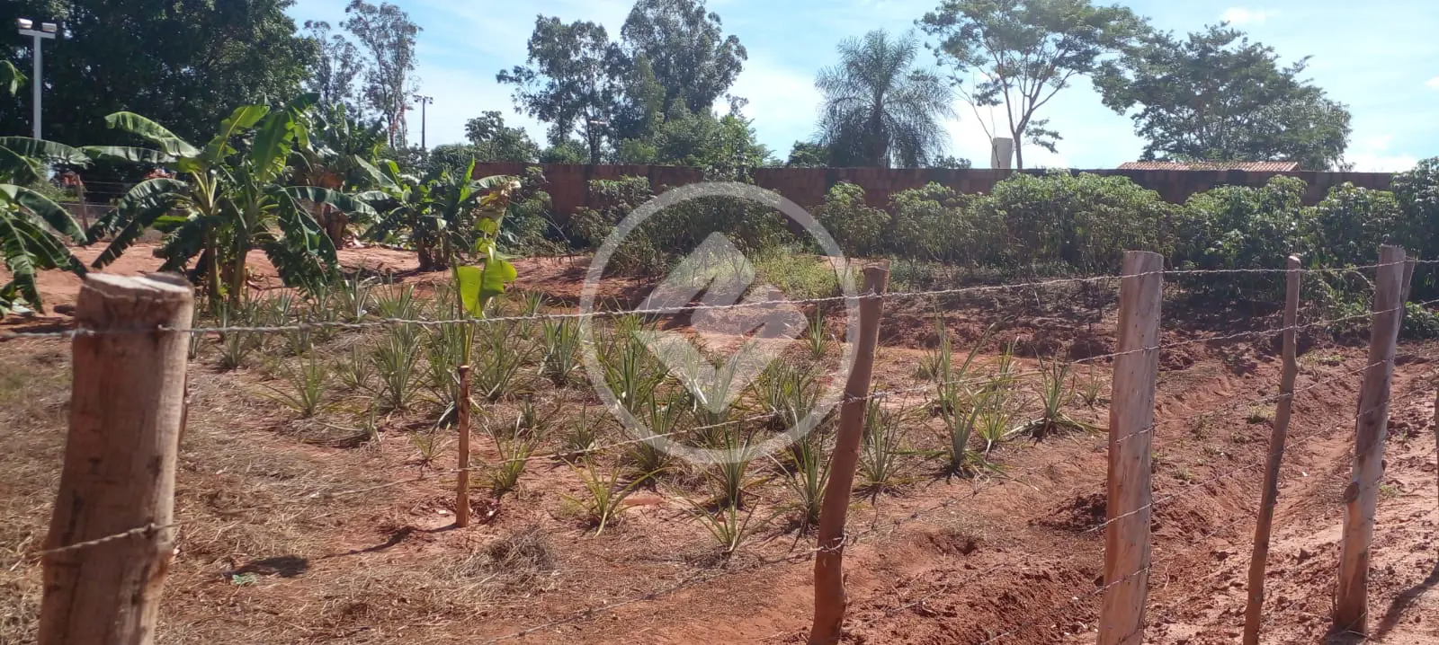 Imagem 4 - Terreno em jardim europa, Rio Verde de Mato Grosso - MS