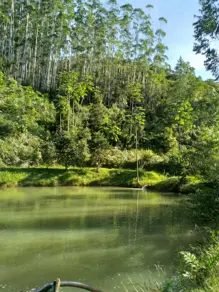 Imagem 2 - Fazenda em Aguti, Nova Trento - SC