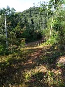 Imagem 6 - Fazenda em Aguti, Nova Trento - SC