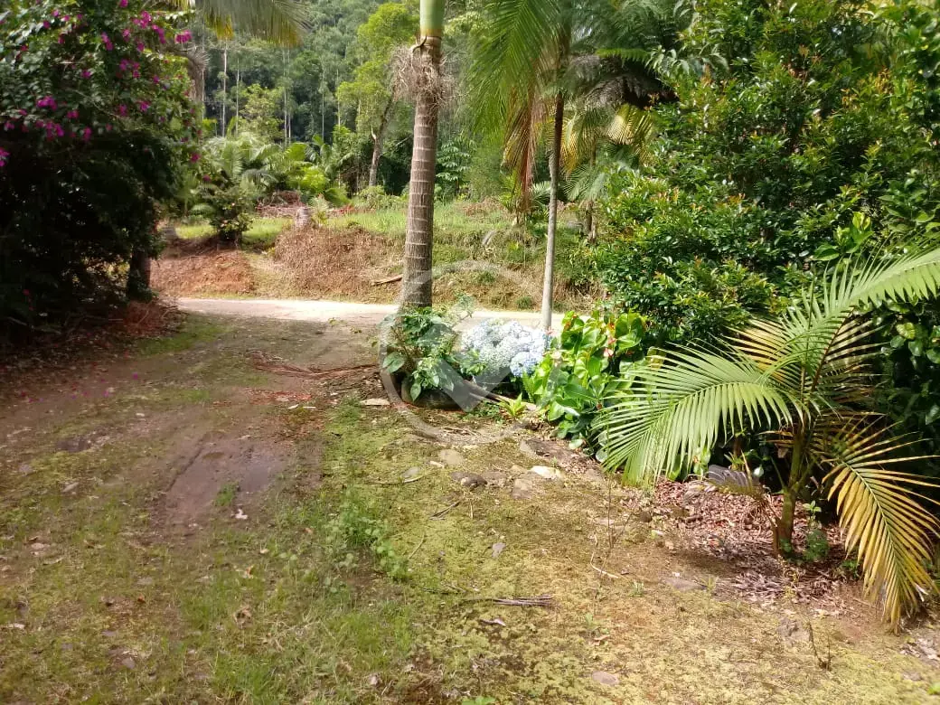 Image 10 - Fazenda em Aguti, Nova Trento - SC