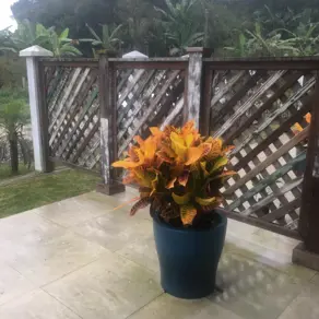 Casa Mariscal, Bombinhas - SC — foto 1
