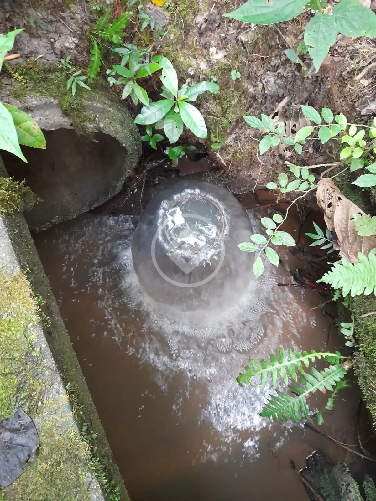 Chácara Rural, Ilhota - SC — foto 2