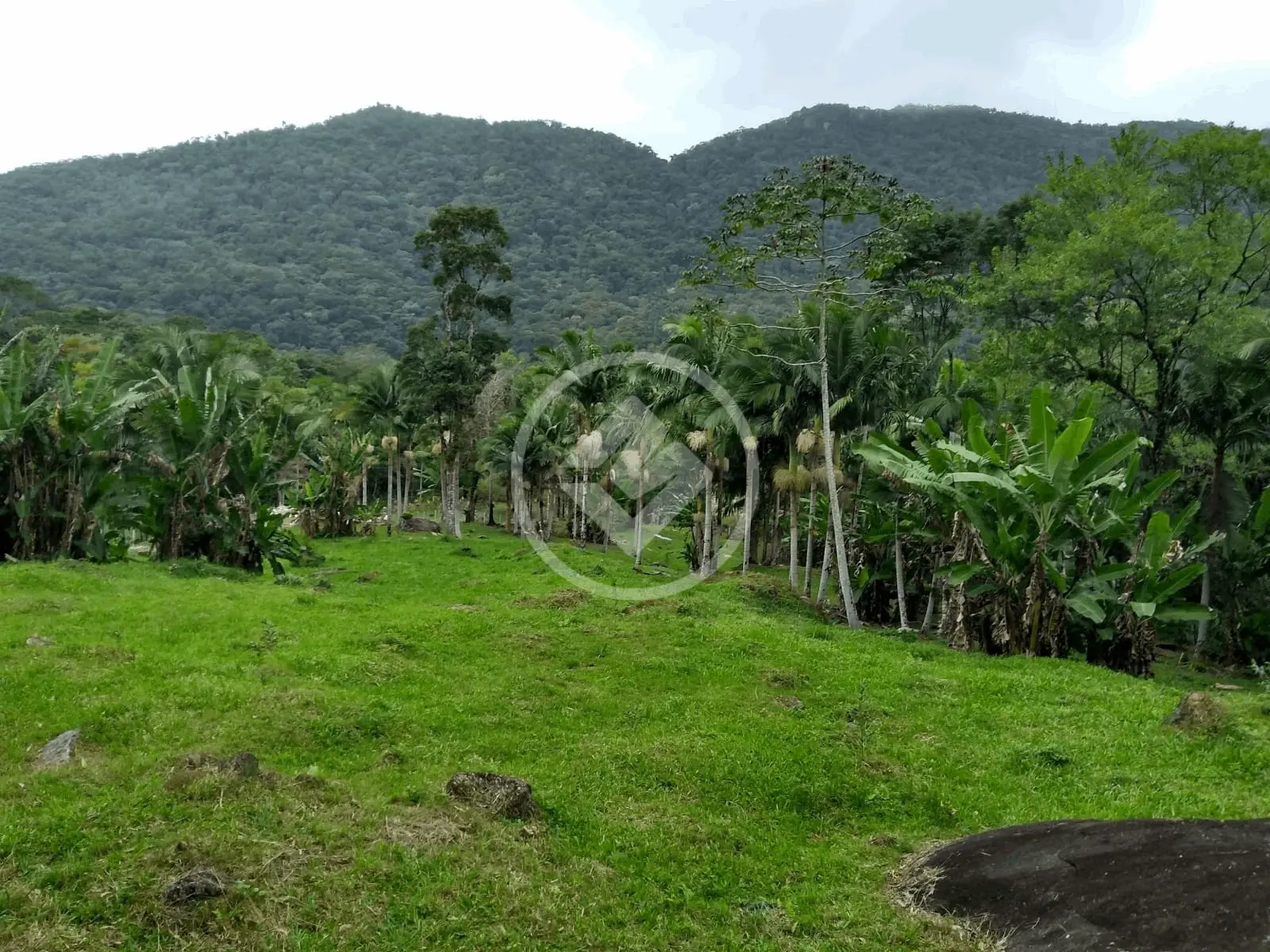 Imagem 3 - Terreno Condomínio em Areal, Itapema - SC