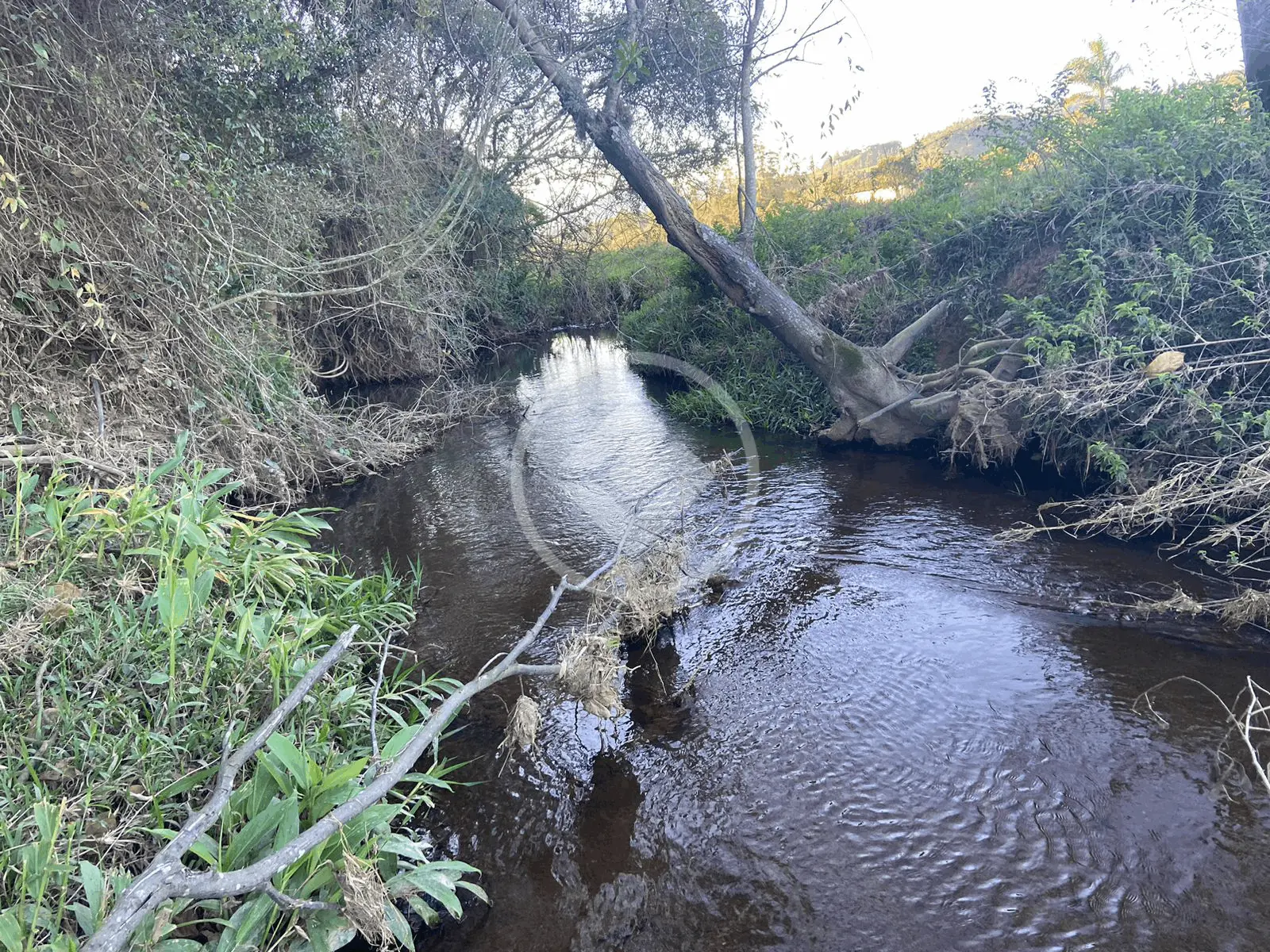 Terreno rio das garças, Imaruí - SC — foto 1