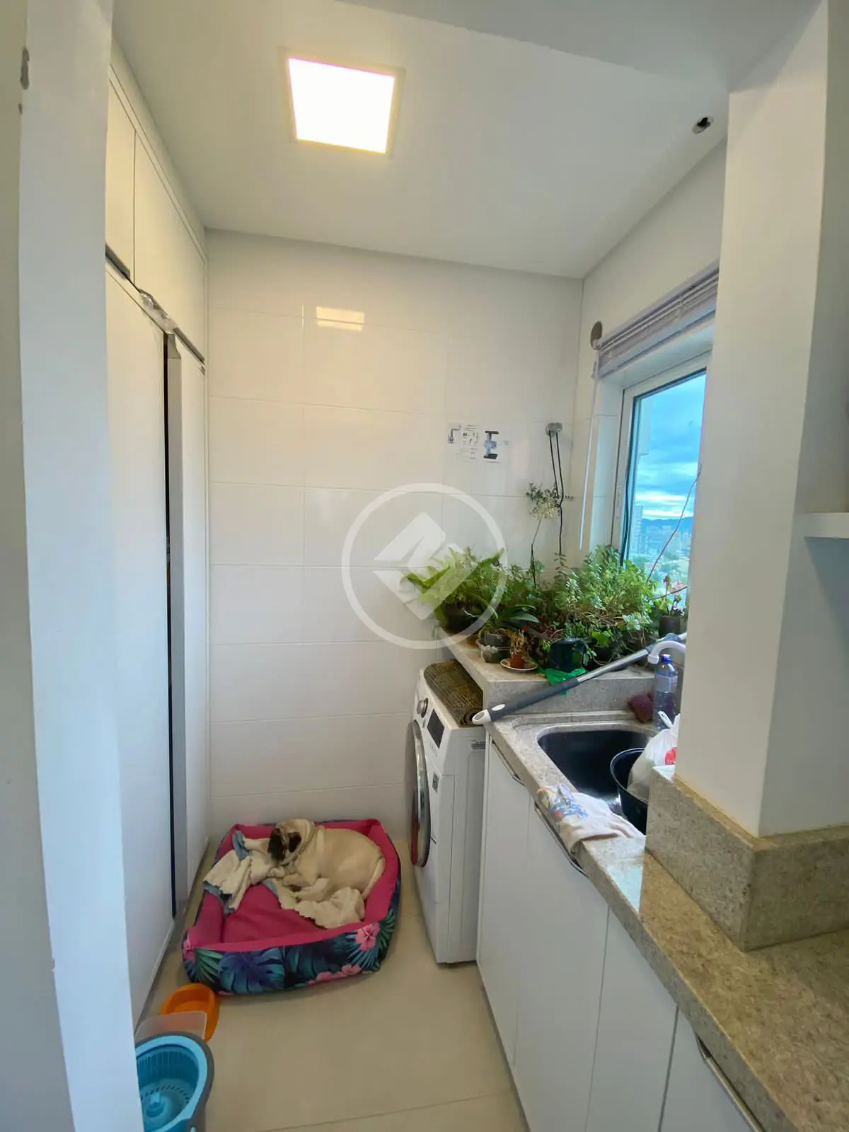Imagem 4 - Cobertura em Balneário Perequê, Porto Belo - SC
