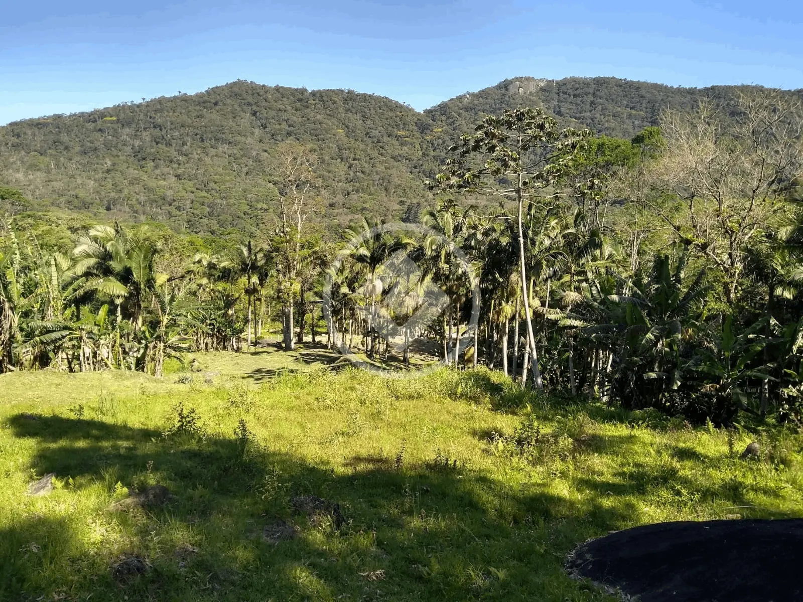 Imagem 2 - Terreno Condomínio em Areal, Itapema - SC