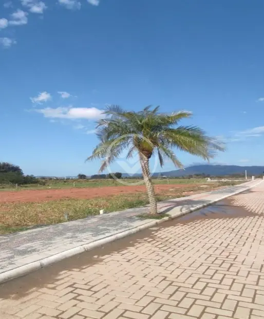 Imagem 3 - Terreno em Sertão do Trombudo, Itapema - SC