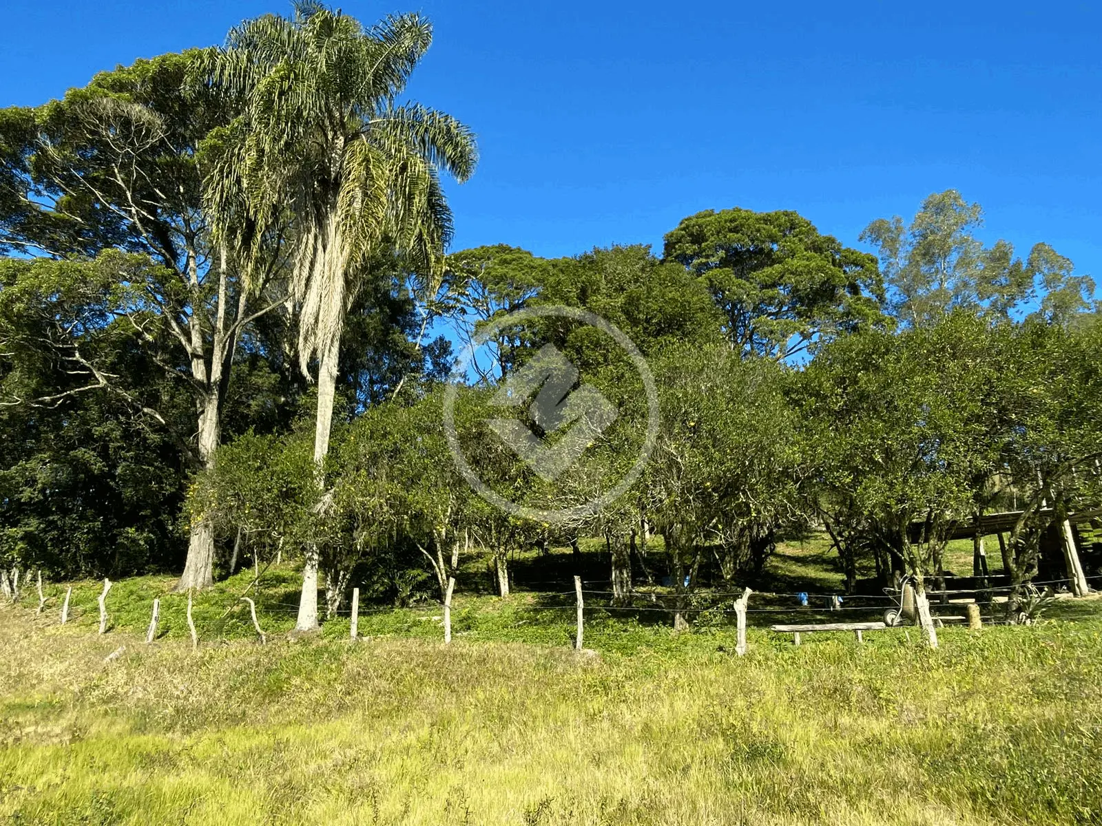 Imagem 6 - Terreno em rio das garças, Imaruí - SC